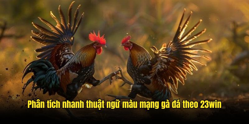 Phân tích nhanh thuật ngữ màu mạng gà đá theo 23win