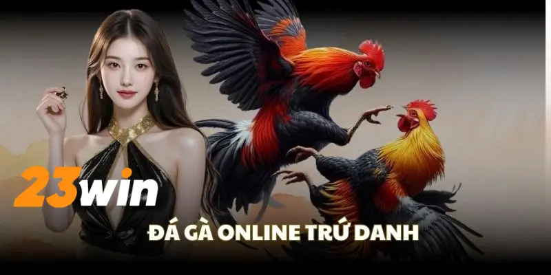 Tham gia cá cược đá gà Thomo cực chiến tại 23WIN